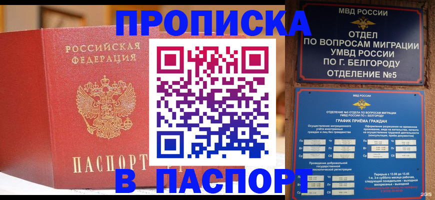 временная регистрация в квартире в Вязьме